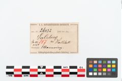 Etikett zu Bronzeknotenarmreif (NHMW-PRAE-026132)